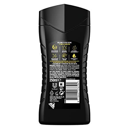 Axe Body Wash Alaska 250 mL