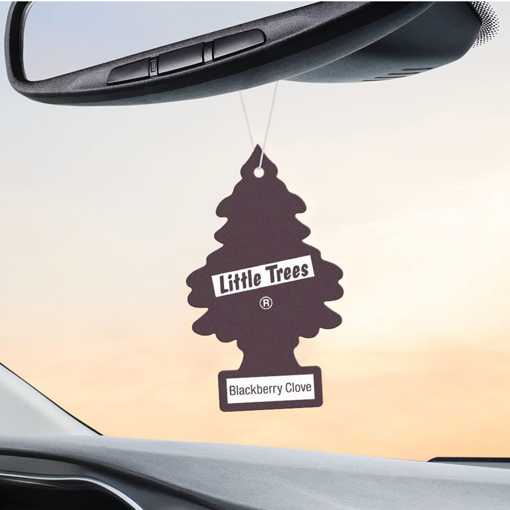 Little Trees Car Freshener Blackberry Clove 6pk - hh-18275bc
