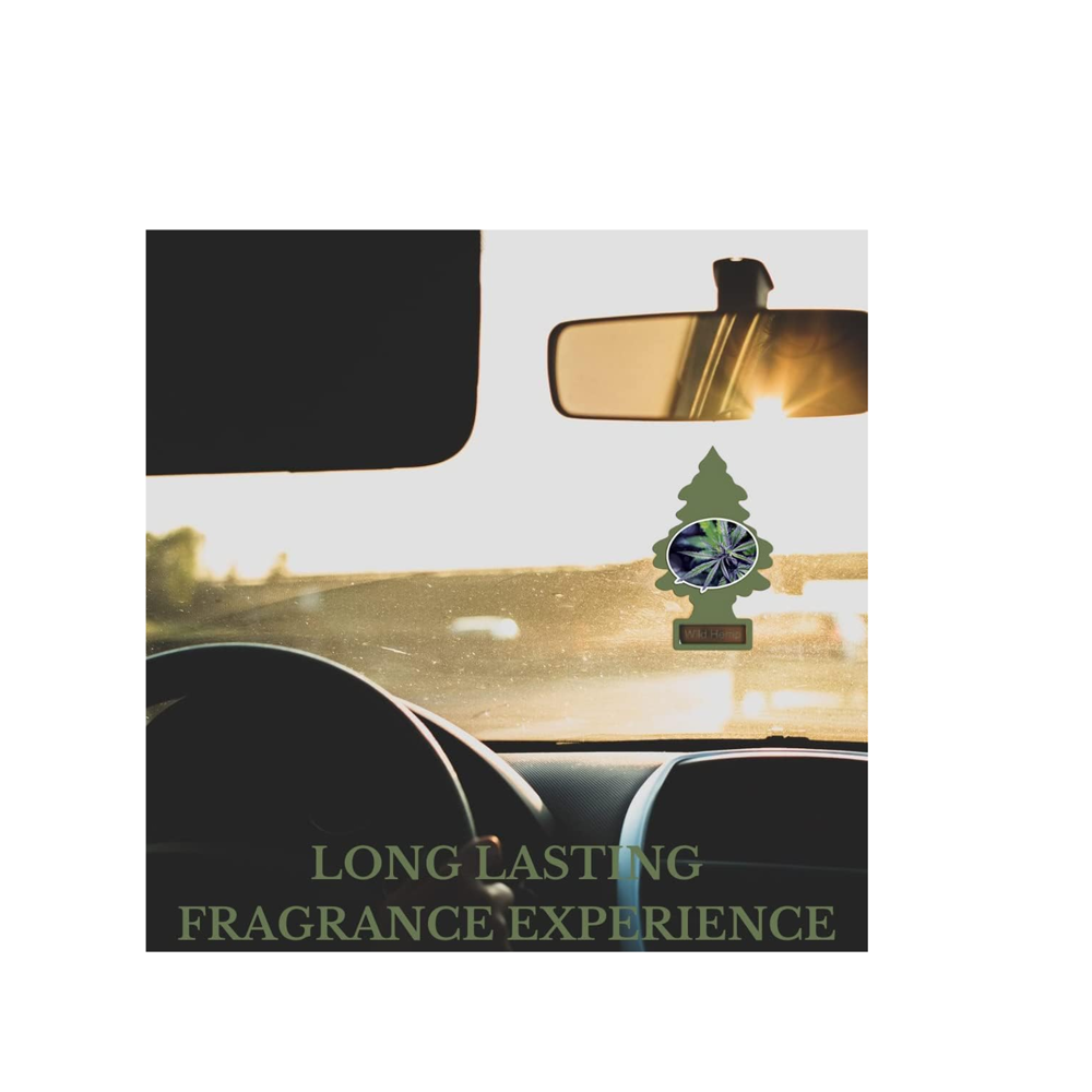 Little Trees Car Freshener Wild Hemp 6pcs