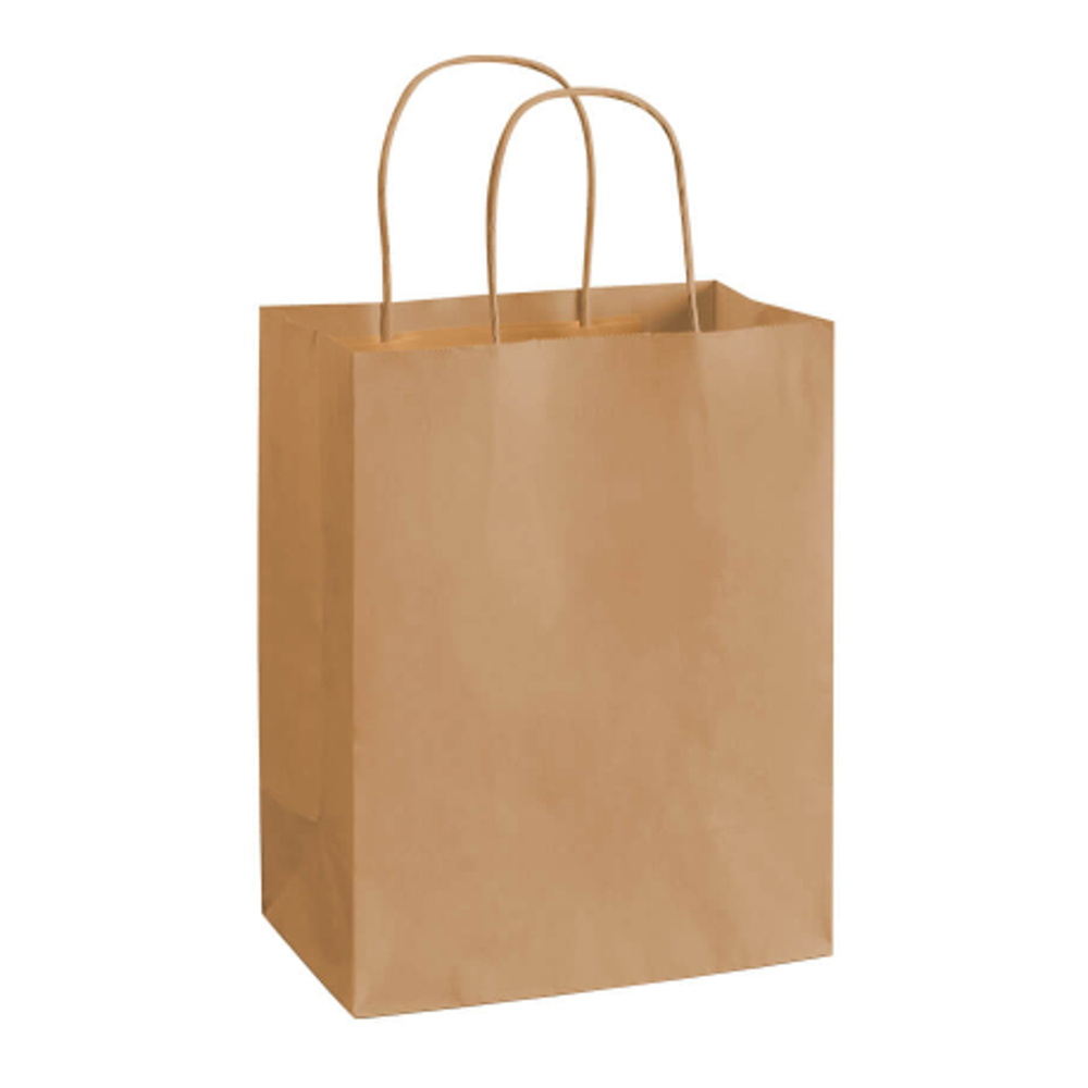 Paper Food Packaging Bag [17" x 20" x 12"] 12pcs