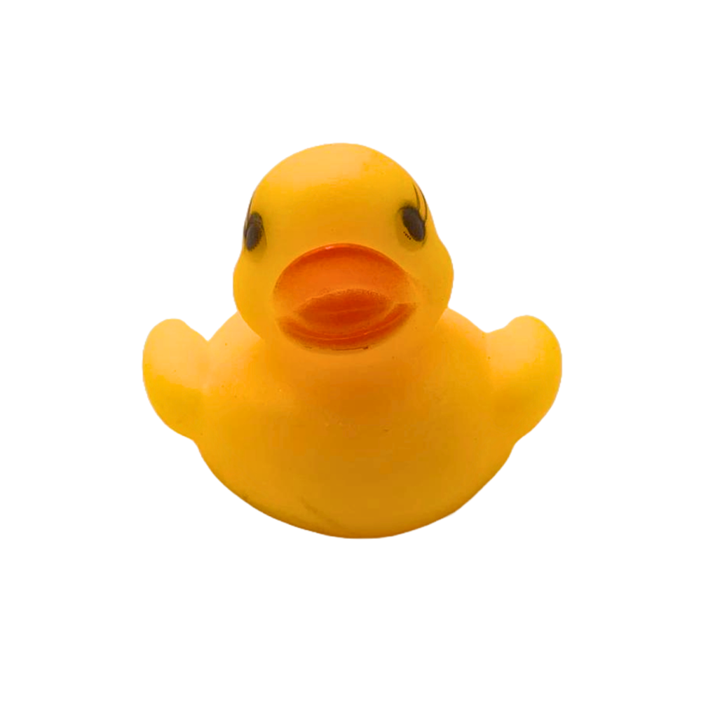 Rubber Duck Toy- 6 in A Pack