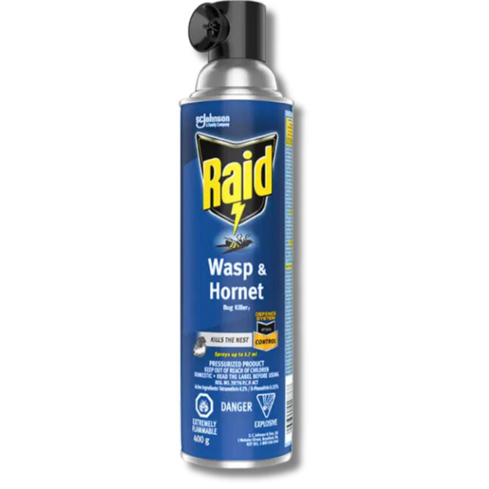 Raid Wasp & Hornet Kiler 400 g