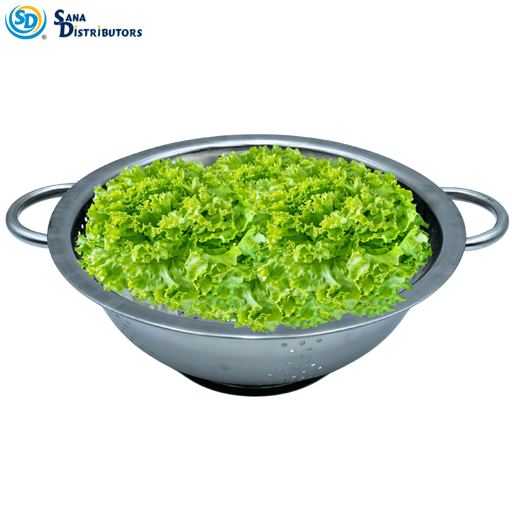 Stainless Steel Strainer Basket 10.5"