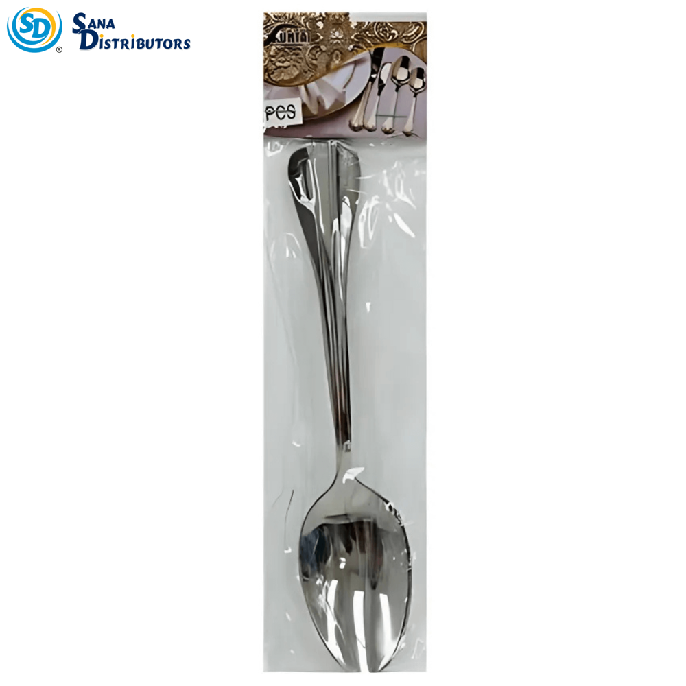 Stainless Steel Spoon 2pcs 8"