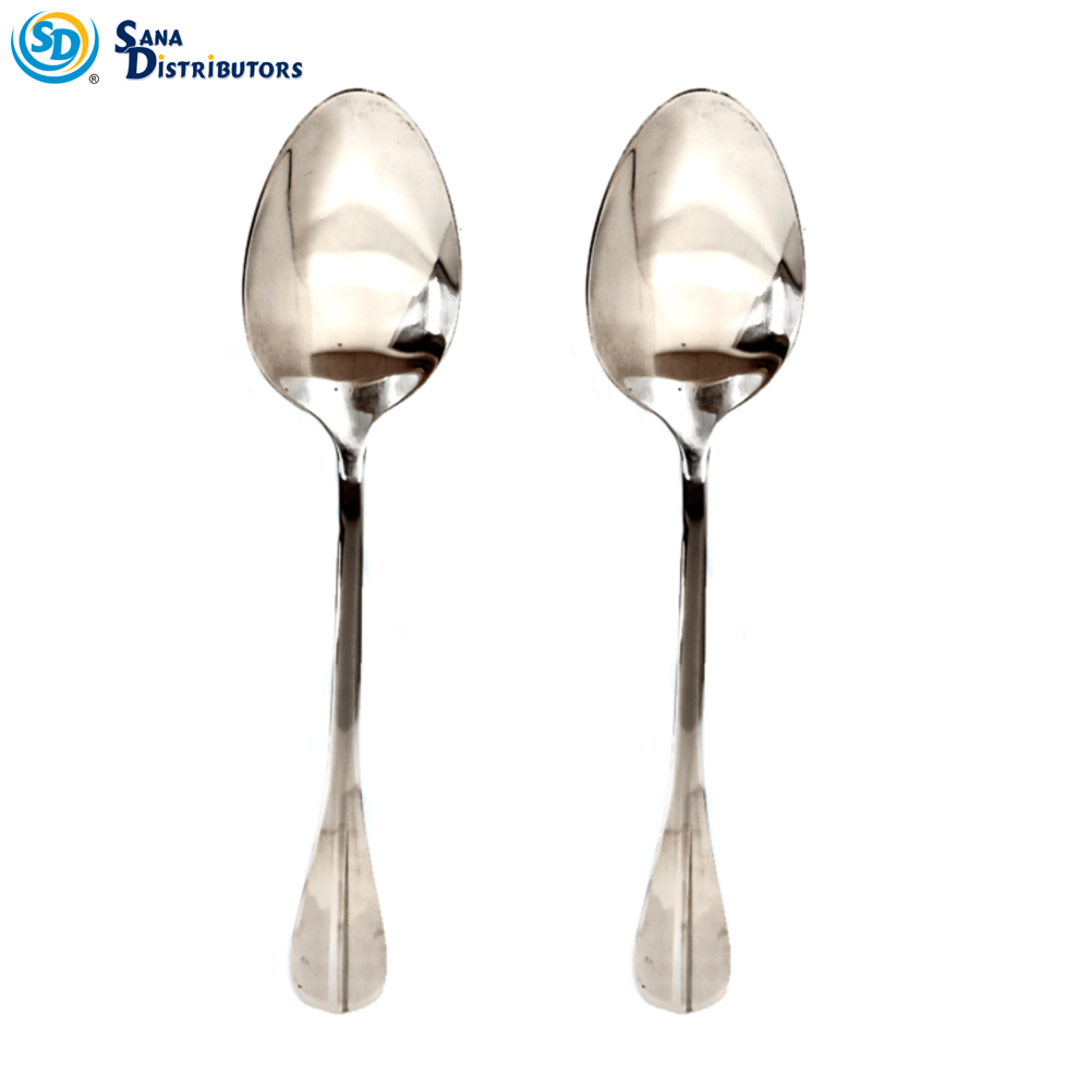 Stainless Steel Spoon 2pcs 8"