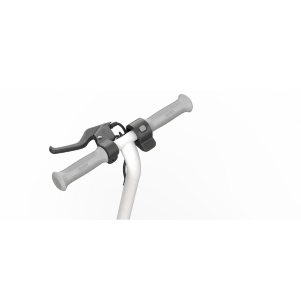 Ninebot Segway eKICKSCOOTER #zing-c9 (Ref.)