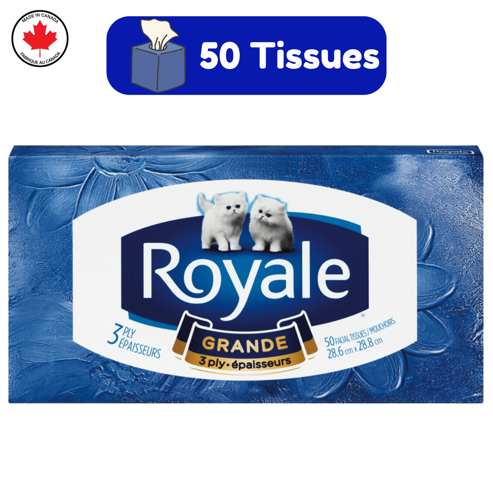 Royale Facial Tissues Grande 3-ply [50 Tissues] - Ass. Designs