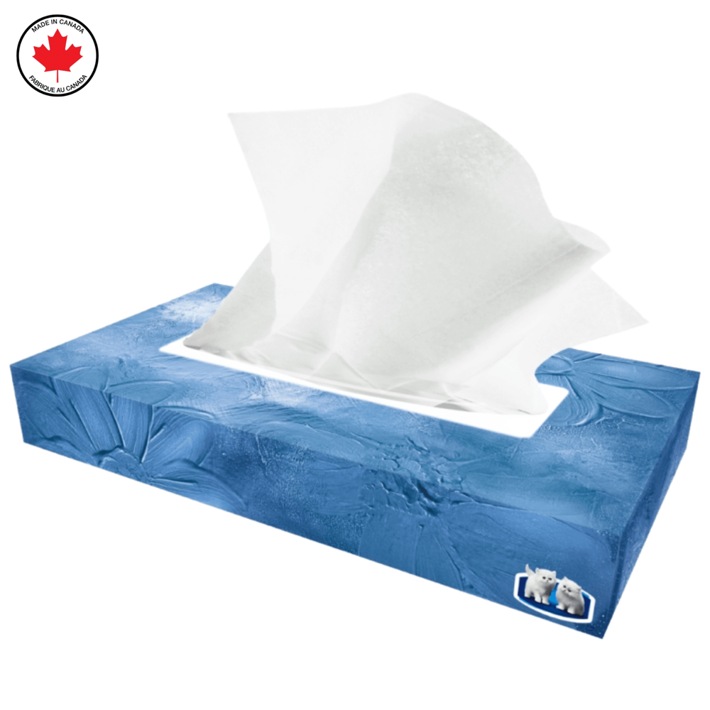 Royale Facial Tissues Grande 3-ply [50 Tissues] - Ass. Designs