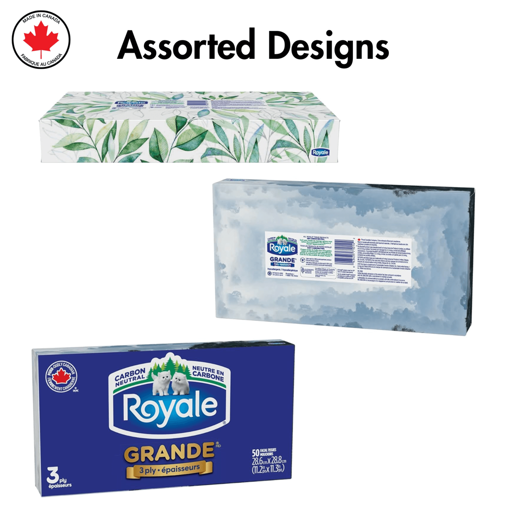 Royale Facial Tissues Grande 3-ply [50 Tissues] - Ass. Designs