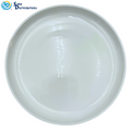 Porcelain Plate - Round 8"