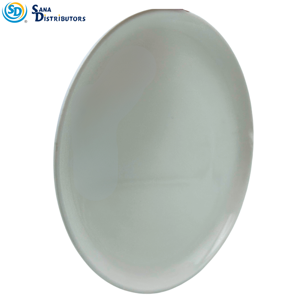Porcelain Plate - Round 8"