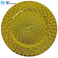 Plastic Plate Gold 13"