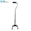 Walking Cane with Stand
