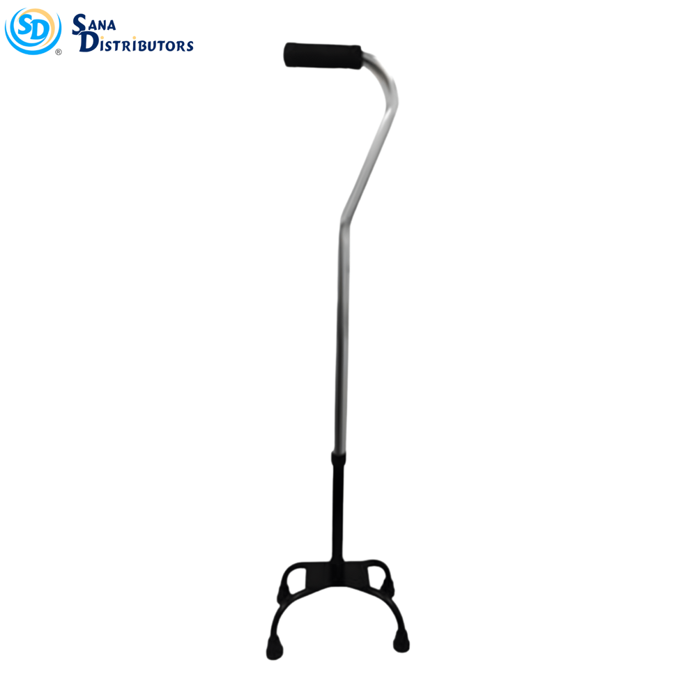 Walking Cane with Stand