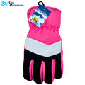 Ladies Winter Gloves - Assorted Colours