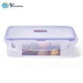 Plastic Food Container 300 mL 4"x6"