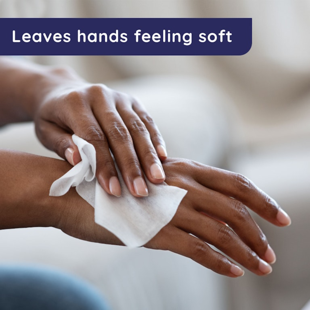 Wet Ones Fresh Scent Hand Wipes 40pcs ($23.94 for 6pcs) [exp:11/27]
