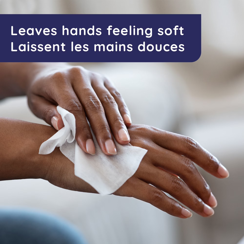 Wet Ones Vit.e & Aloe Face & Hand Wipes ($19.99 for 10pcs)