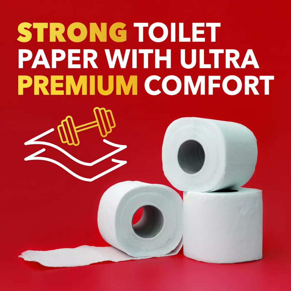 Toilet Paper 2ply 12pcs=48 Rolls
