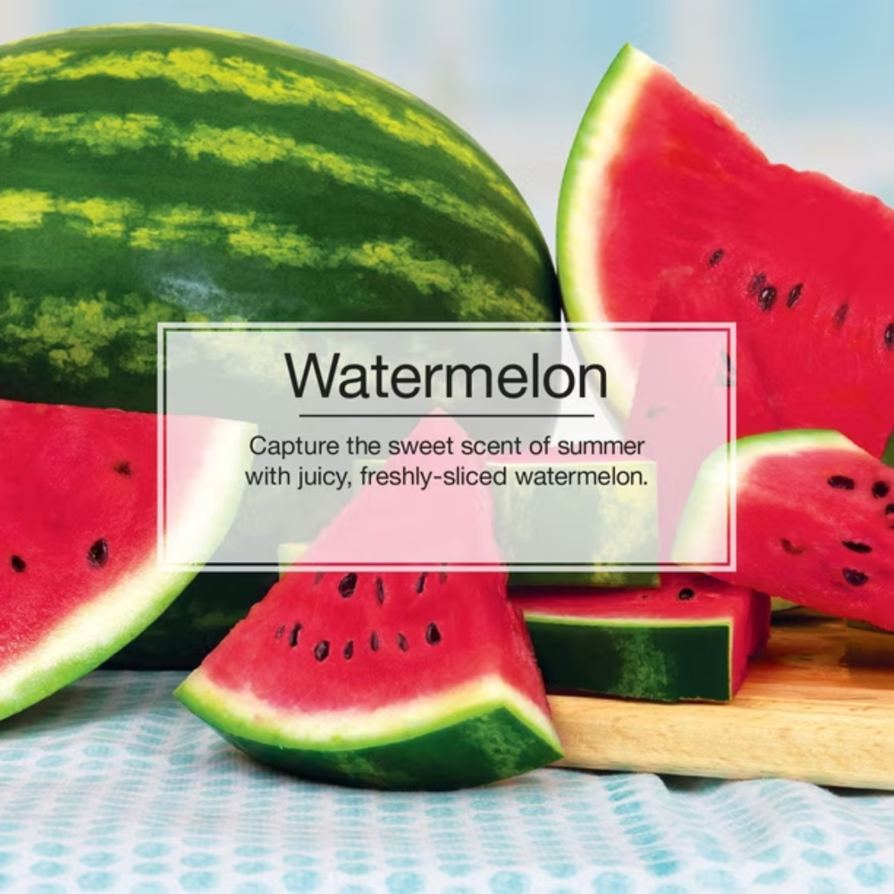 Little Trees Watermelon 1pc ($21.36 for 24pcs)