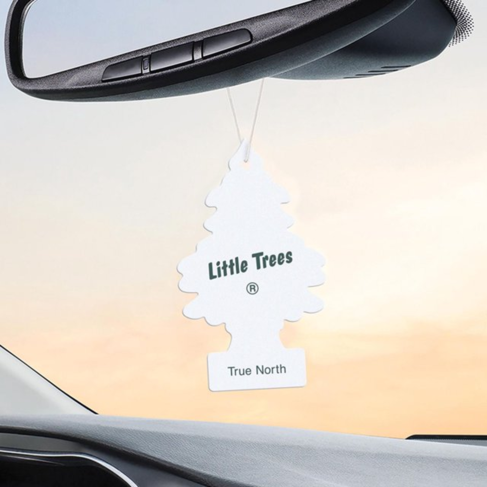 Little Trees Car Freshener True North 6pcs