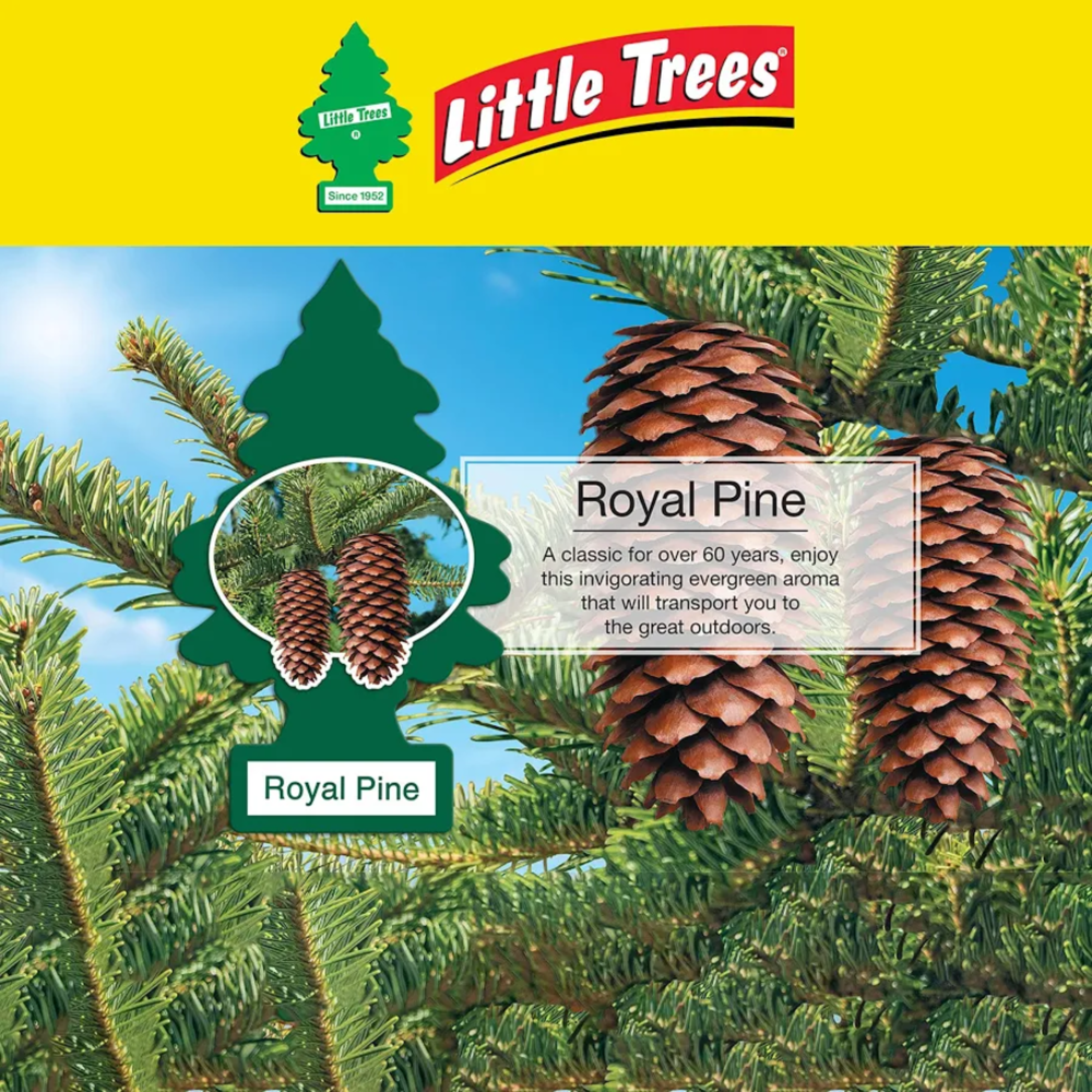 Little Trees Car Freshener Royal Pine 1pc ($21.36 for 24pcs)