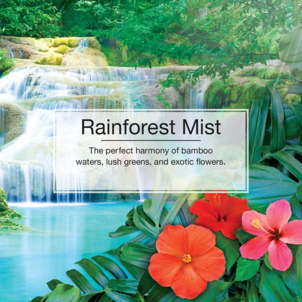 Little Trees Car Freshener Rainforest Mist 6pk- hh-18326rm
