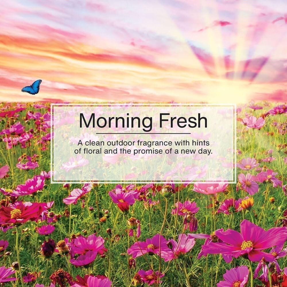 Little Trees Car Freshener Morning Fresh 6pcs