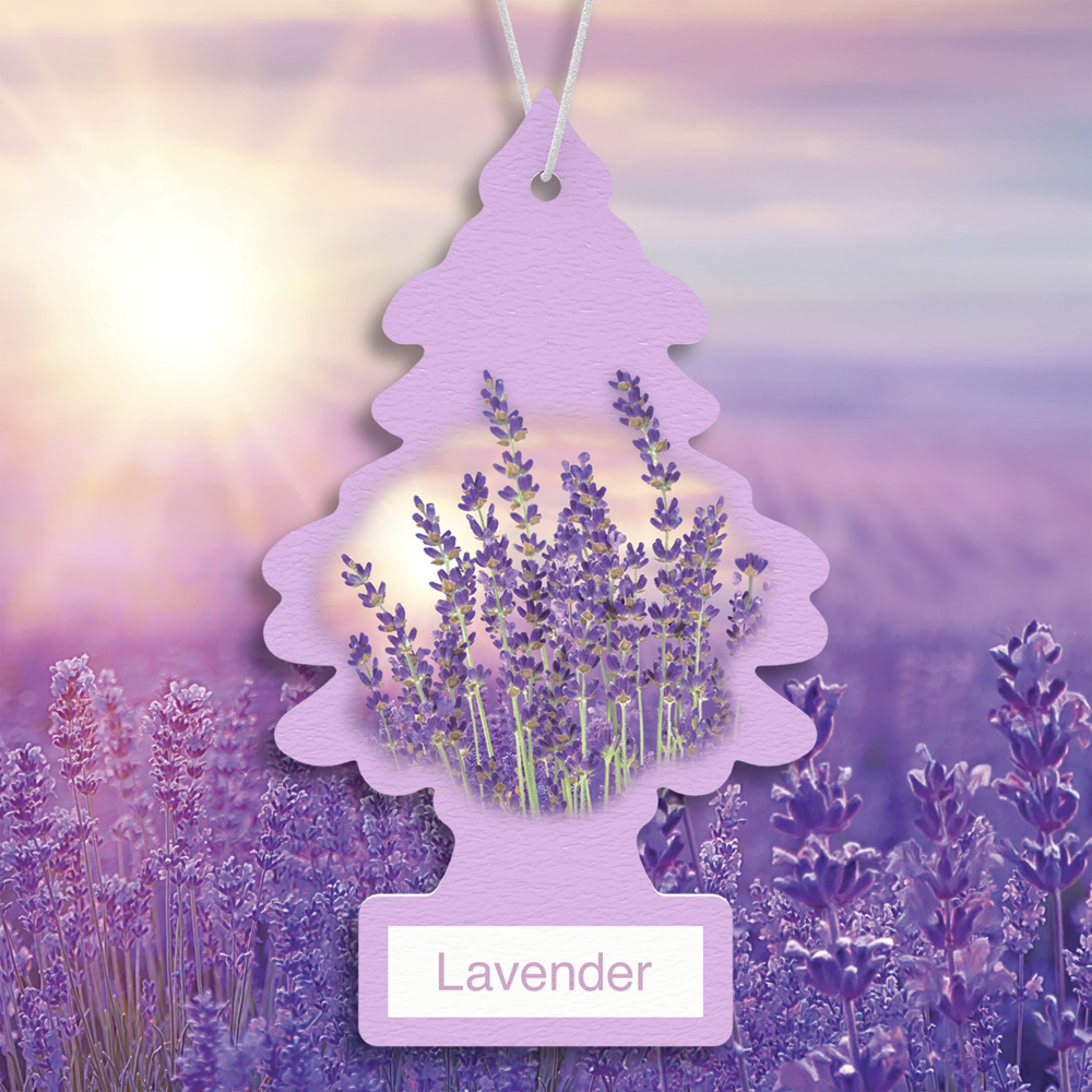 Little Trees Car Freshener Lavender 6pcs