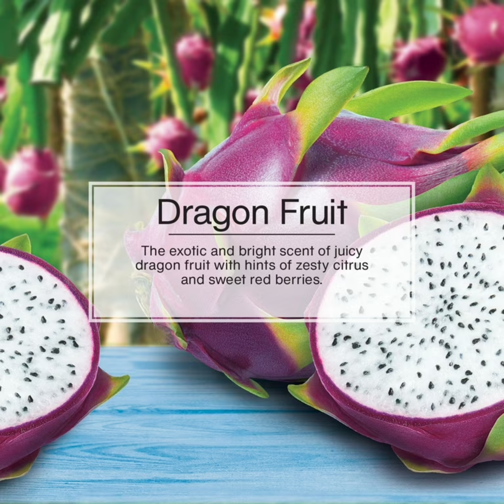 Little Trees Car Freshener Dragon Fruit 1pc ($21.36 for 24pcs)