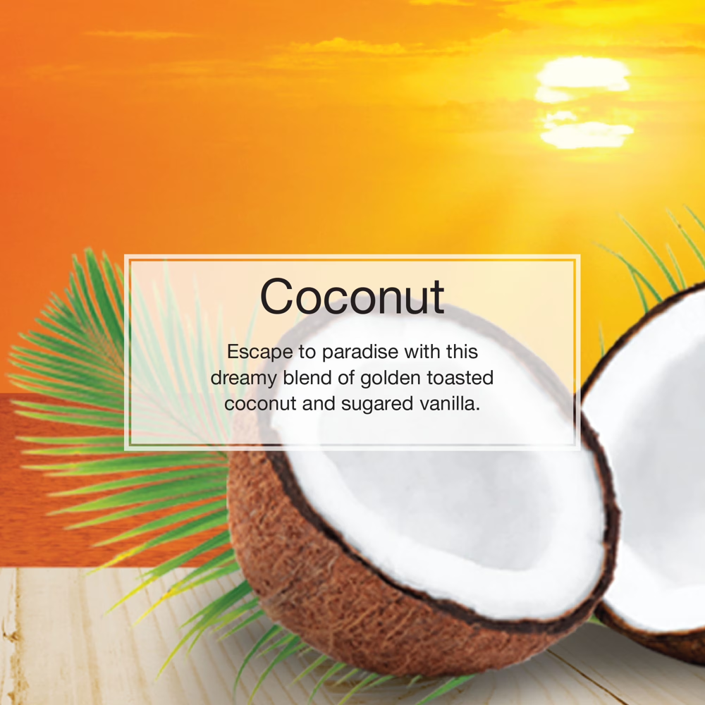 Little Trees Car Freshener Coconut 6pcs