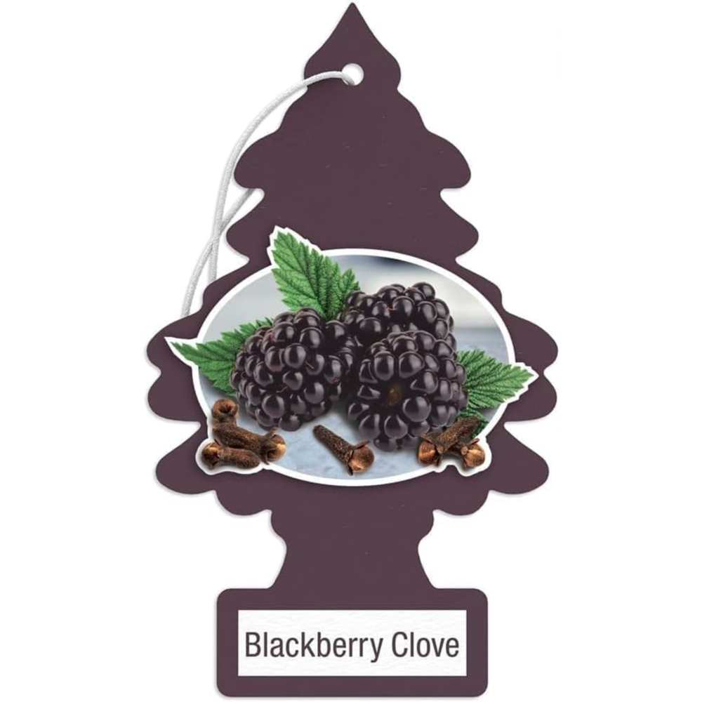 Little Trees Car Freshener Blackberry Clove 6pk - hh-18275bc