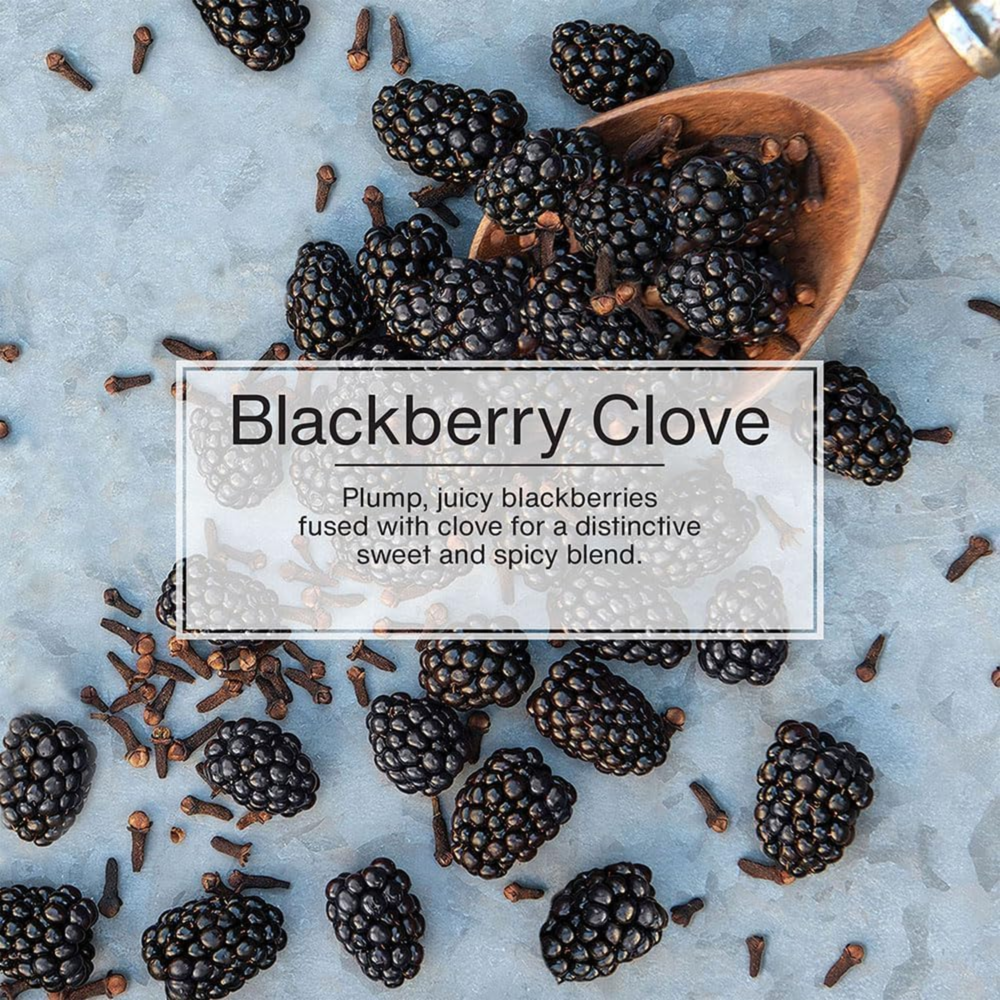 Little Trees Car Freshener Blackberry Clove 1pc ($21.36 for 24pcs)