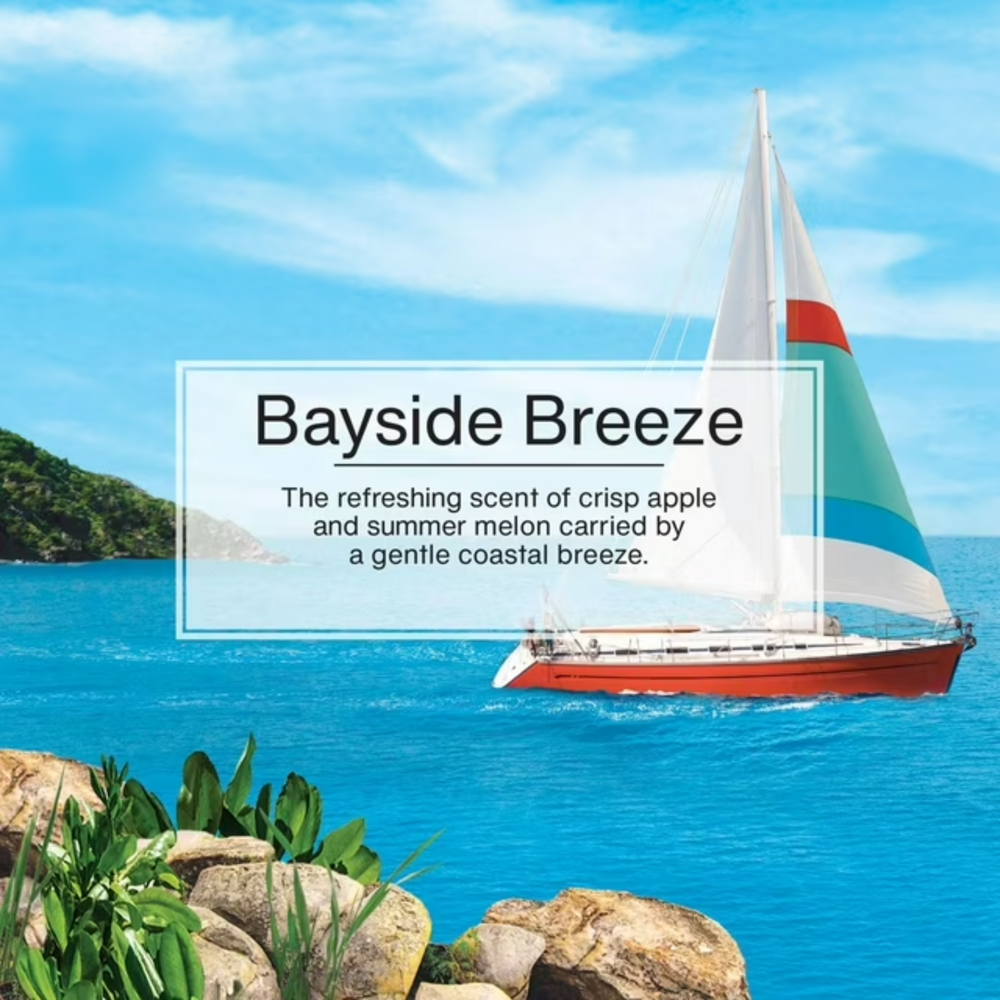 Little Trees Car Freshener Bayside Breeze 3pcs