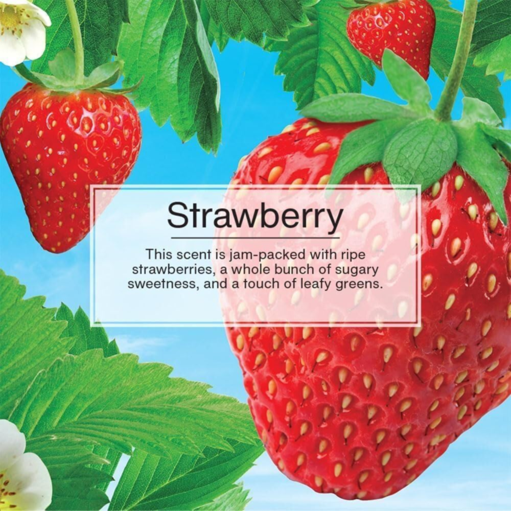 Little Trees Car Freshener Vent Wrap-strawberry