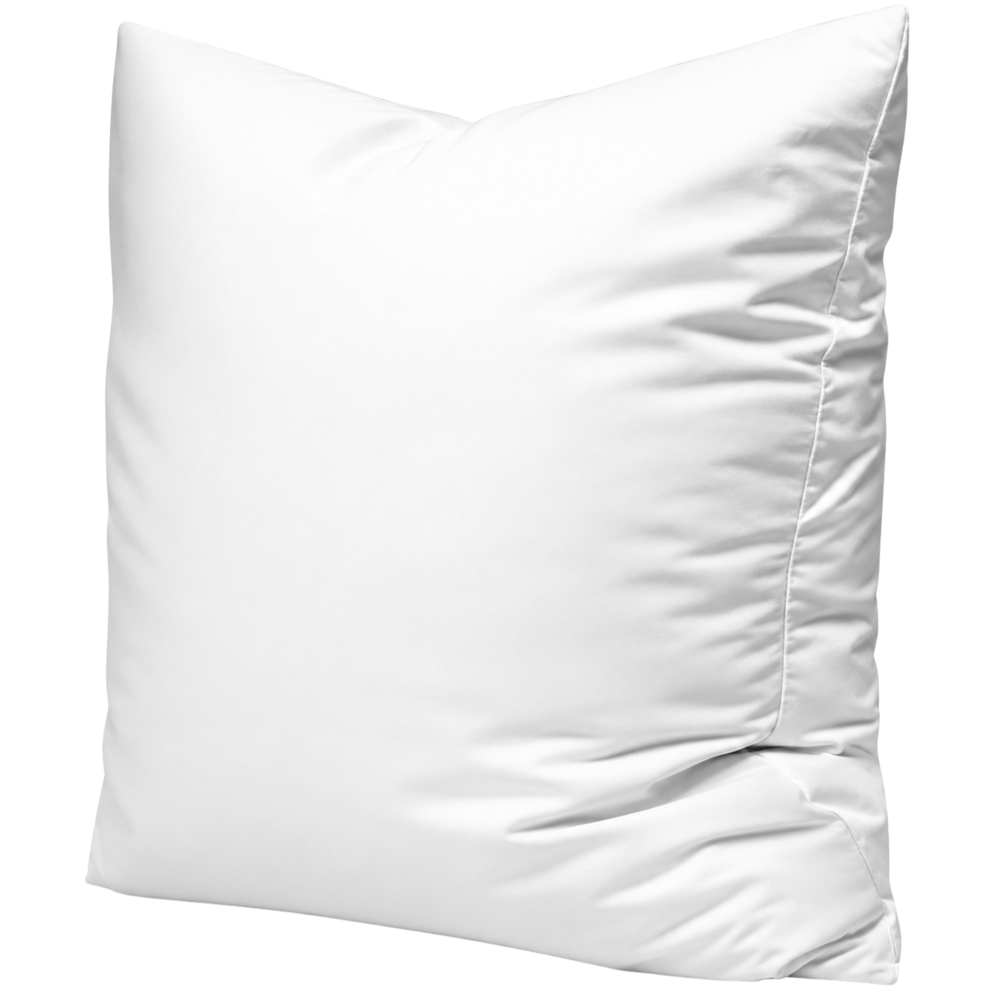 Pillow Cushion Polyester 20"x20"