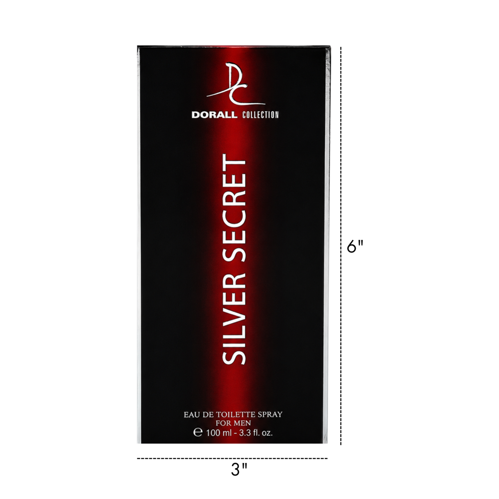 Silver Secret Perfume for Men 100 mL