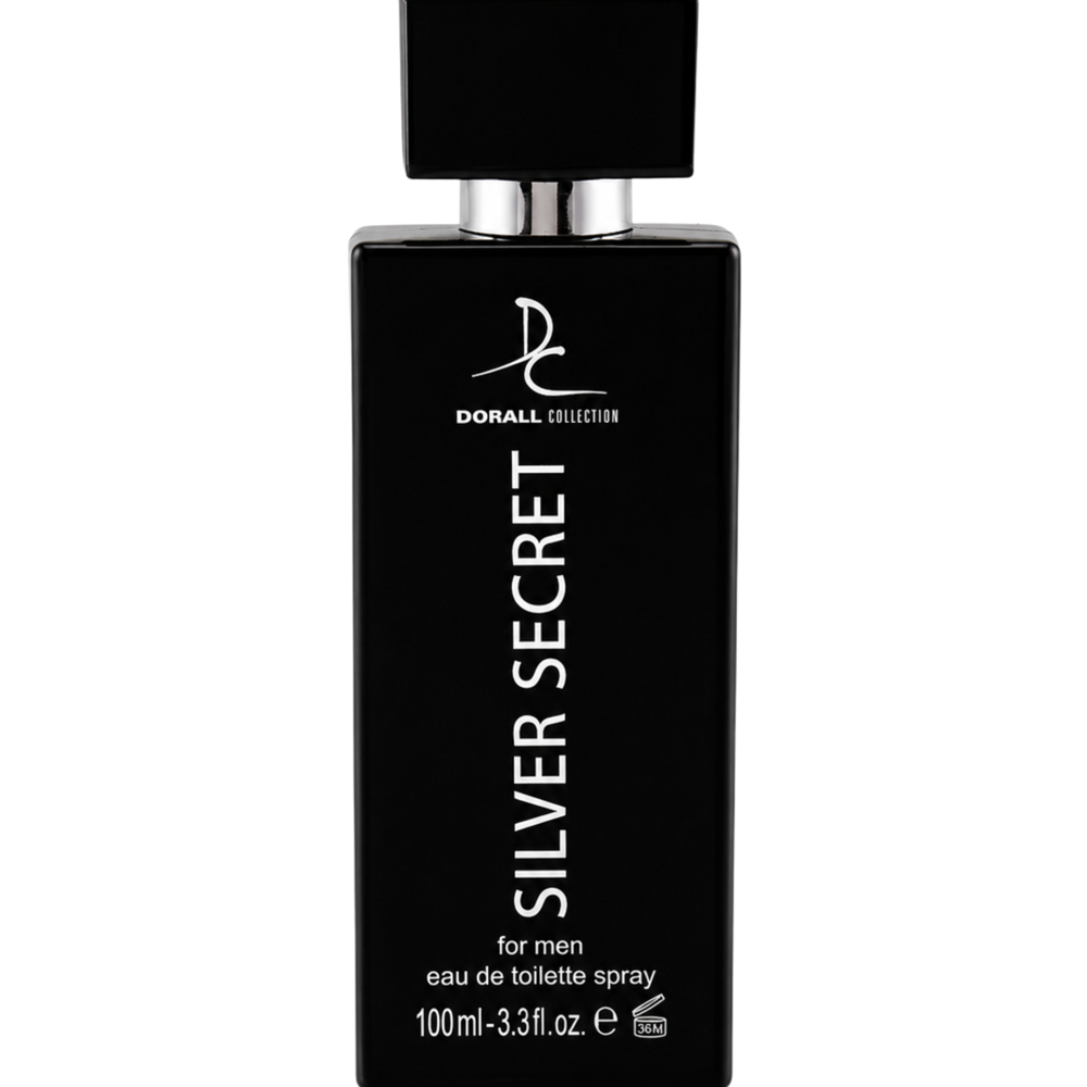 Silver Secret Perfume for Men 100 mL