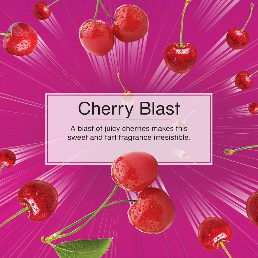 Little Trees Car Freshener Fiber Can-cherry Blast