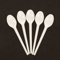 CS/1000 PLASTIC DISPOSABLE SPOONS, TEASPOON SIZE