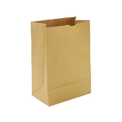 CS/500 KRAFT PAPER BAG 7LB