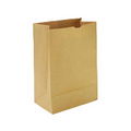 CS/500 KRAFT PAPER BAG 8LB