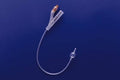 BX/10 100% SILICONE 2-WAY FOLEY CATHETER, SIZE 10FR 3CC