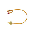 BX/10 GOLD 2WAY SIL 5CC 22FR