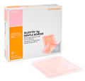 BX/10 ALLEVYN AG GB 17.5X17.5CM
