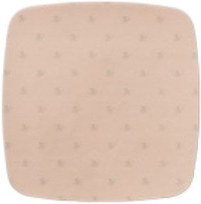 BX/10 AQUACEL AG FOAM NON-ADHESIVE 10CM X 10CM