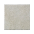 BX/30 BIATAIN Alginate AG 2IN X 2IN